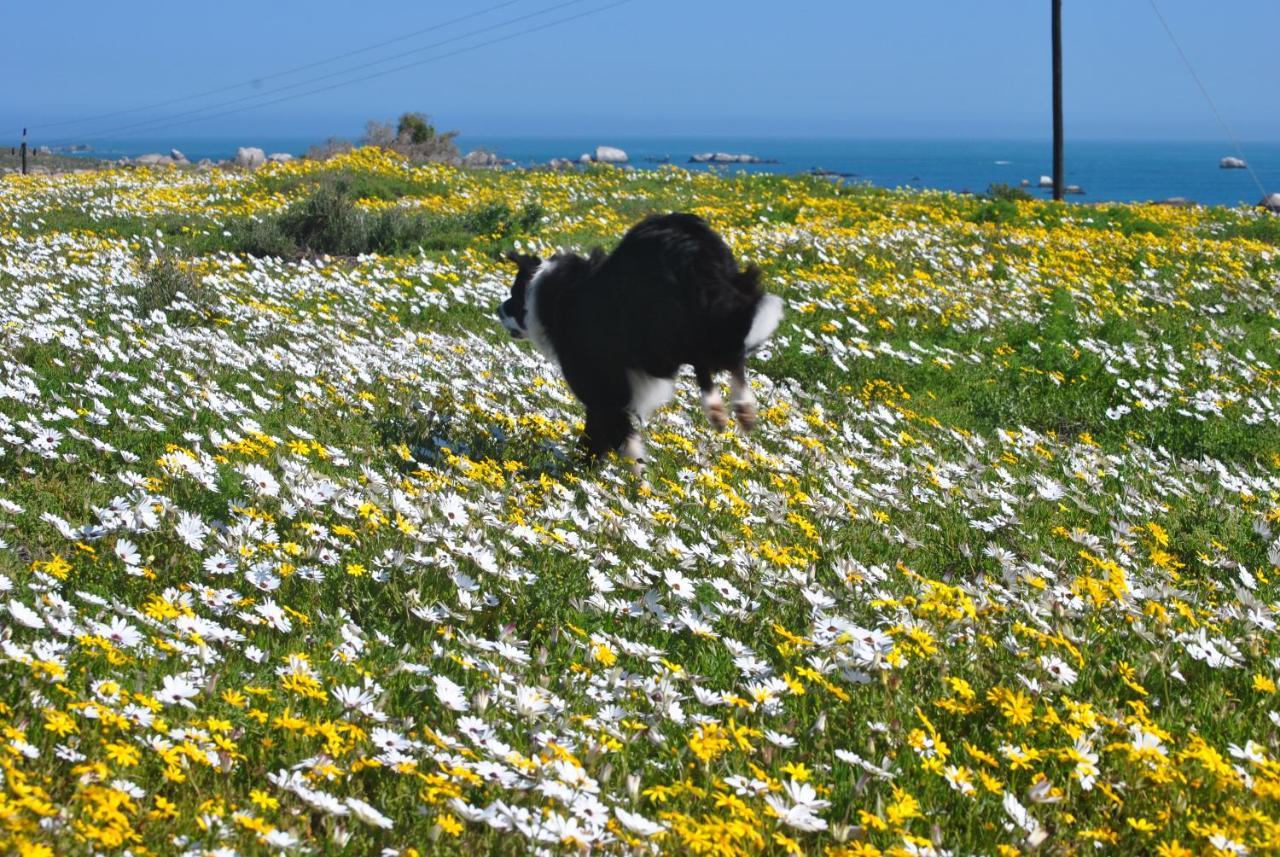 Stay At Bokkoms In Paternoster Self Catering Accommodation ภายนอก รูปภาพ