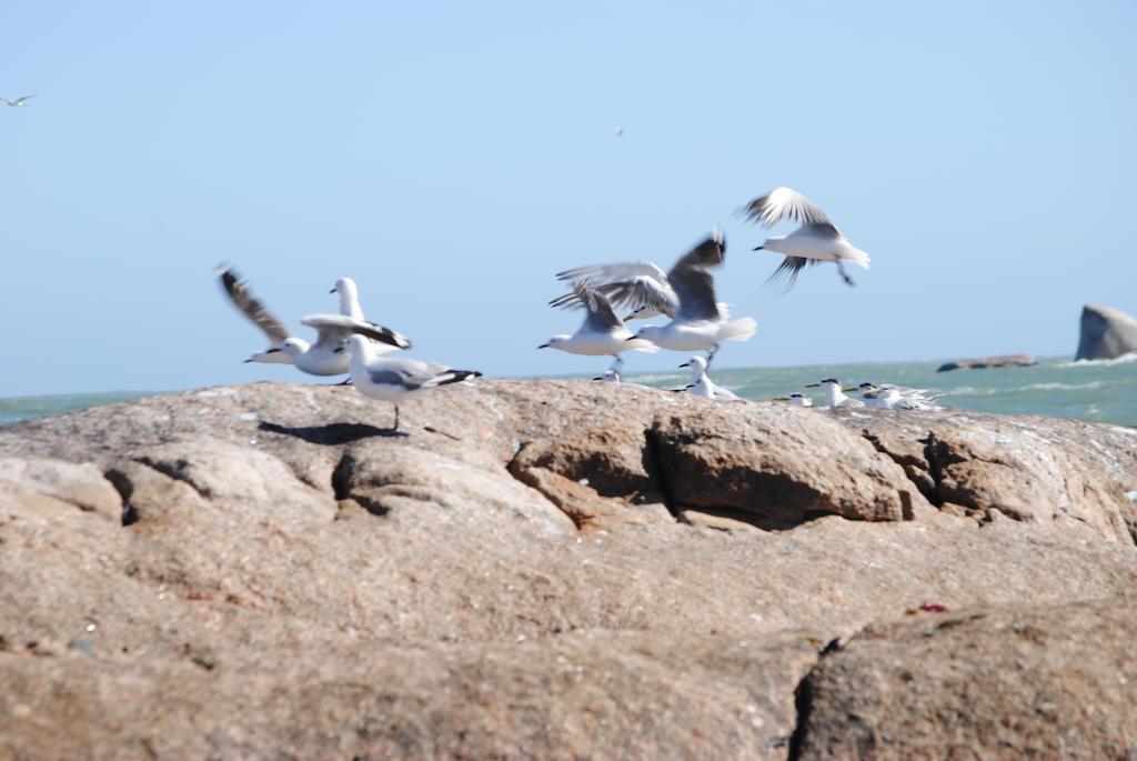 Stay At Bokkoms In Paternoster Self Catering Accommodation ภายนอก รูปภาพ