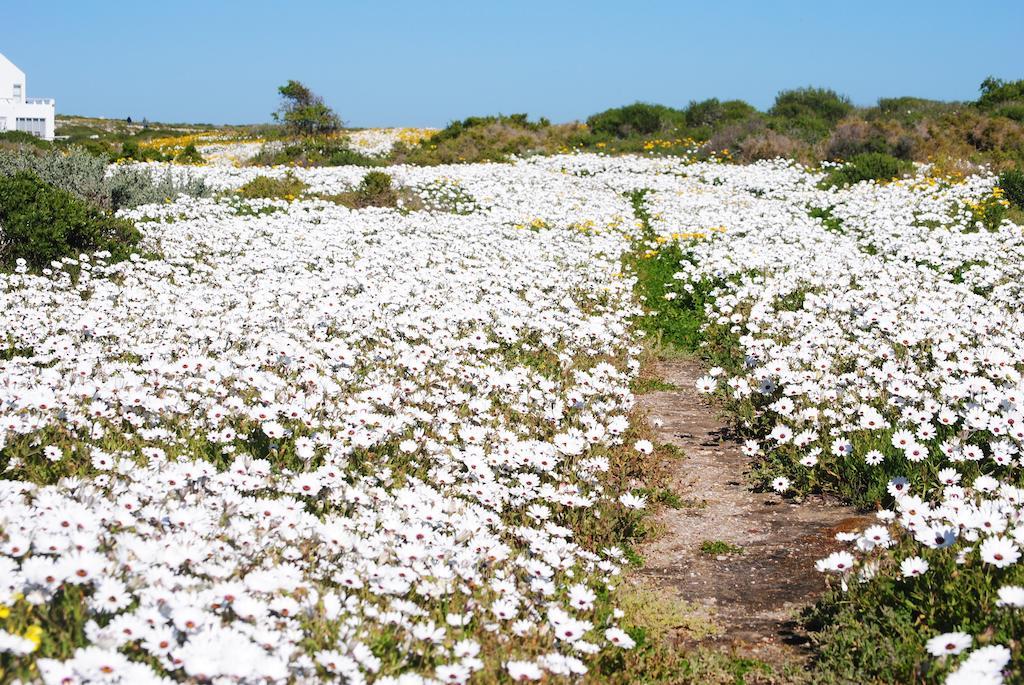 Stay At Bokkoms In Paternoster Self Catering Accommodation ภายนอก รูปภาพ